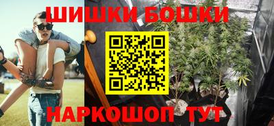 гашик Будённовск