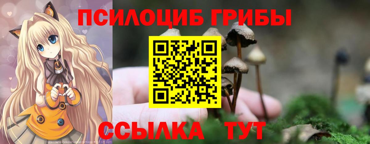 Галлюциногенные грибы прущие грибы  Галлюциногенные грибы Psilocybine cubensis  Балабаново  Вход с VPN 